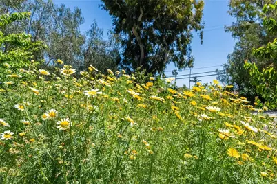2 Chuckwagon, Rolling Hills, CA 90274 - Photo 43