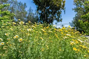 2 Chuckwagon, Rolling Hills, CA 90274 - Photo 43
