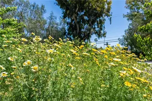 2 Chuckwagon, Rolling Hills, CA 90274 - Photo 43
