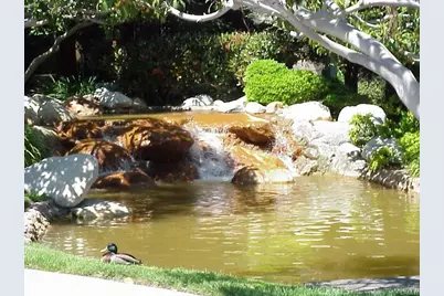 2800 Plaza Del Amo #38, Torrance, CA 90503 - Photo 23