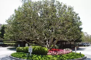 2800 Plaza Del Amo, Torrance, CA 90503 - Photo 15