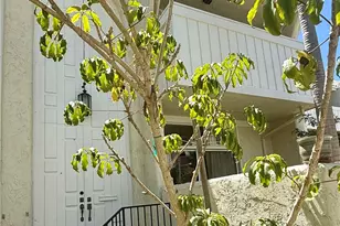 415 2nd, Hermosa Beach, CA 90254 - Photo 5