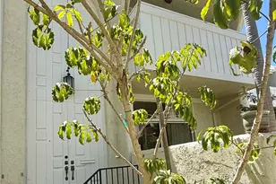 415 2nd, Hermosa Beach, CA 90254 - Photo 21