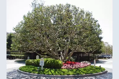 2800 Plaza Del Amo #367, Torrance, CA 90503 - Photo 31