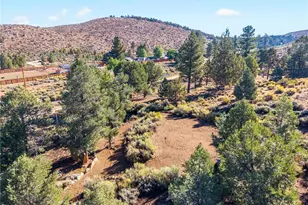 1627 Baldwin Lake, Big Bear City, CA 92314 - Photo 63