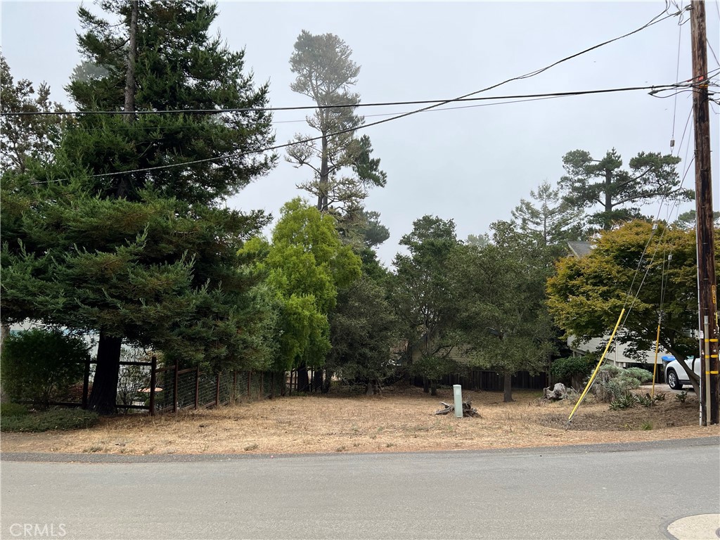 0 Pineridge Dr, Cambria, CA 93428 MLS SC23162628 Coldwell Banker