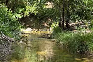 7515 Santa Rosa Creek Rd, Cambria, CA 93428 - Photo 67