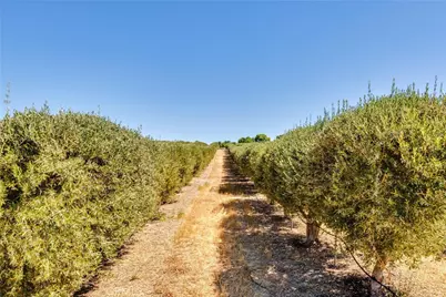 5055 Rancho La Loma Linda Drive, Paso Robles, CA 93446 - Photo 39