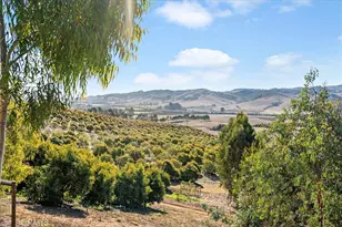 3515 Turri Rd, San Luis Obispo, CA 93405 - Photo 51