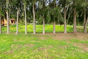 1301 Little Morro Creek Rd, Morro Bay, CA 93442 - Photo 5