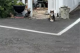 8850 El Camino Real, Atascadero, CA 93422 - Photo 7