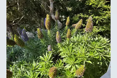 1226 Main Street #14, Cambria, CA 93428 - Photo 37