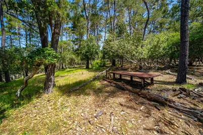 6475 Kathryn Drive, Cambria, CA 93428 - Photo 7