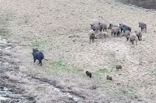 8050 Bitterwater Rd, Shandon, CA 93461 - Photo 37