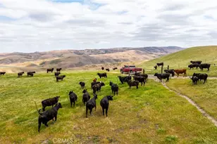 8050 Bitterwater Rd, Shandon, CA 93461 - Photo 5