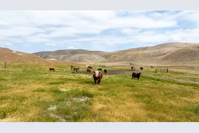 8050 Bitterwater Road, Shandon, CA 93461 - Photo 33