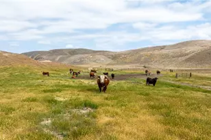 8050 Bitterwater Rd, Shandon, CA 93461 - Photo 33