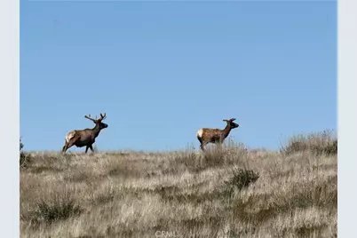 8050 Bitterwater Road, Shandon, CA 93461 - Photo 41
