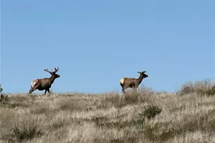 8050 Bitterwater Rd, Shandon, CA 93461 - Photo 41