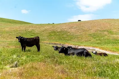 8050 Bitterwater Road, Shandon, CA 93461 - Photo 17