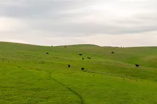 8050 Bitterwater Rd, Shandon, CA 93461 - Photo 5