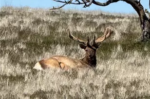 8050 Bitterwater Rd, Shandon, CA 93461 - Photo 37