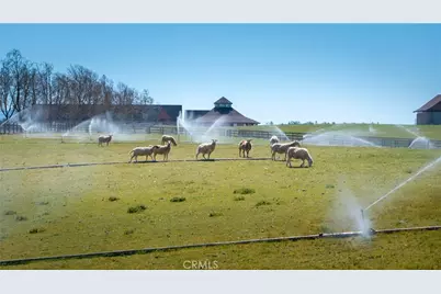 5010 Gate 4 Rd., Paso Robles, CA 93446 - Photo 5