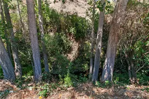 9031 Tassajara Creek Rd, Santa Margarita, CA 93453 - Photo 25