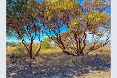 1475 Fern Canyon, Paso Robles, CA 93446 - Photo 25
