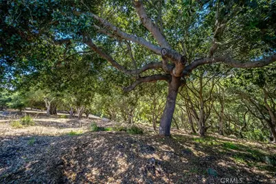 991 Visalia Street, Pismo Beach, CA 93449 - Photo 17