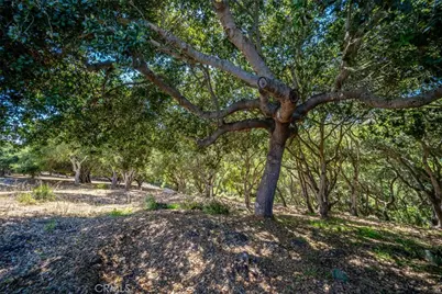 991 Visalia Street, Pismo Beach, CA 93449 - Photo 17