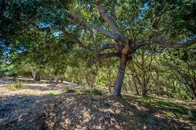 991 Visalia Street, Pismo Beach, CA 93449 - Photo 17