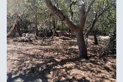 1845 Norwich Avenue, Cambria, CA 93428 - Photo 3