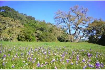 0 Old Creek Road, Cayucos, CA 93430 - Photo 3
