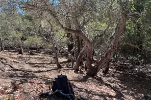 2275 Leona Dr, Cambria, CA 93428 - Photo 1