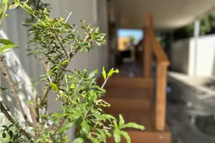 225 N Akers Road, Visalia, CA 93291 - Photo 31