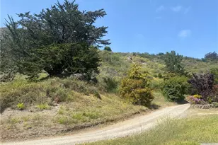 0 Morning Glory Ranch, Big Sur, CA 93920 - Photo 15