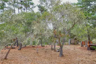 1021 Hillcrest, Cambria, CA 93428 - Photo 45