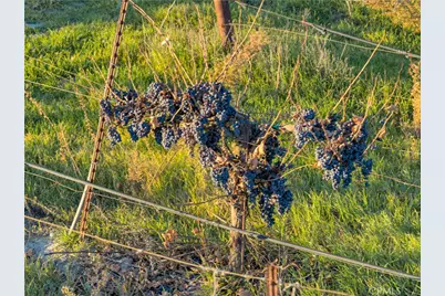 1990 E 46, Shandon, CA 93461 - Photo 53