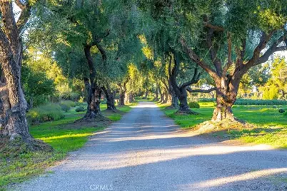 2480 Roblar Avenue, Los Olivos, CA 93441 - Photo 3