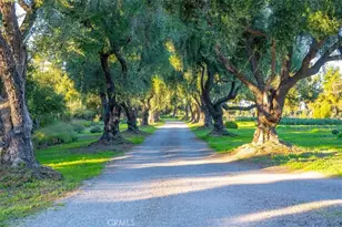 2480 Roblar Ave, Los Olivos, CA 93441 - Photo 3