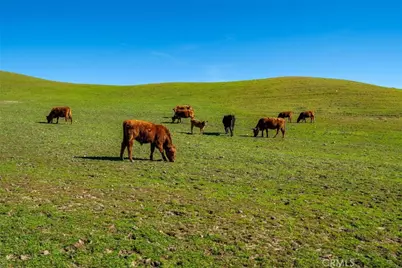 535 Calf Canyon Highway, Creston, CA 93432 - Photo 5