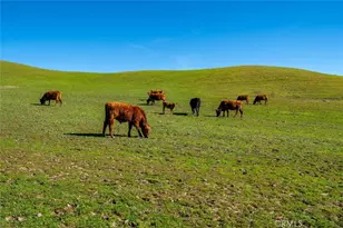 535 Calf Canyon Hwy, Creston, CA 93432 - Photo 5