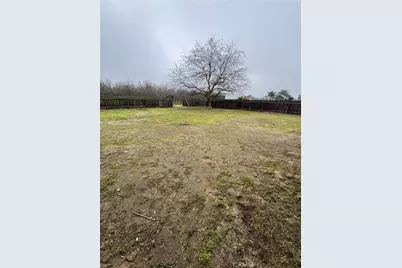 2433 W Clemenceau, Caruthers, CA 93609 - Photo 29