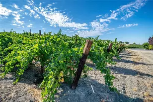 6172 Hawk Ridge Pl, Paso Robles, CA 93446 - Photo 61