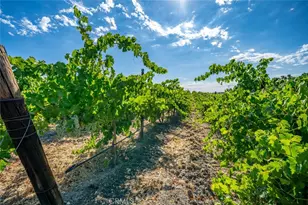 6172 Hawk Ridge Pl, Paso Robles, CA 93446 - Photo 63