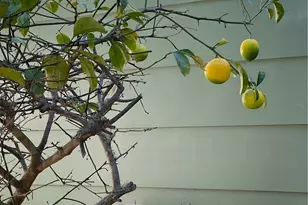 1595 Los Osos Valley Road, Los Osos, CA 93402 - Photo 27