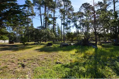 0 Buckley, Cambria, CA 93428 - Photo 3