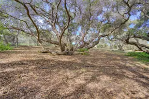 1785 Martingale Ave Ave, Los Osos, CA 93402 - Photo 49