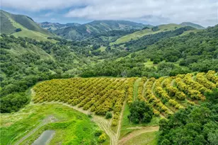 7515 Santa Rosa Creek Rd, Cambria, CA 93428 - Photo 31